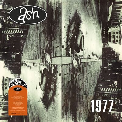 1977 (Limited Edition) - Ash [Colour Vinyl] - Image 2