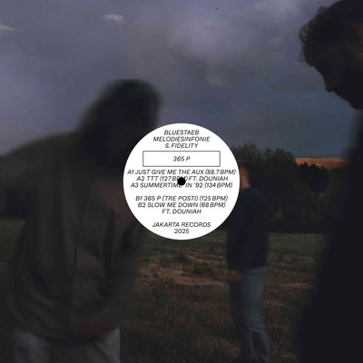 365 P - Bluestaeb, Melodiesinfonie & S. Fidelity [VINYL]