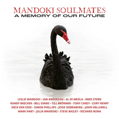 A Memory of Our Future - Mandoki Soulmates [VINYL Limited Edition]