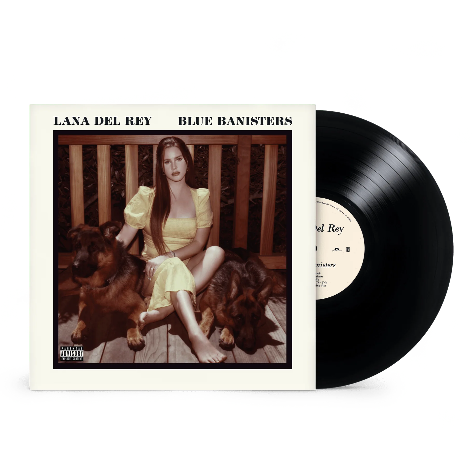 Blue Banisters: - Lana Del Rey [VINYL] - Image 2