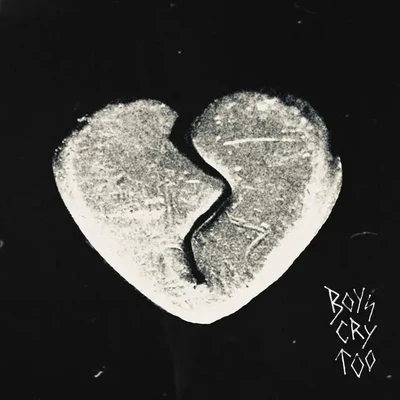 Boys Cry Too - The Haunted Youth [VINYL]