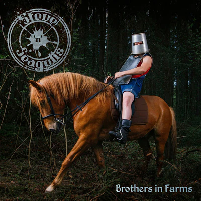 Brothers in Farms - Steve 'n' Seagulls [CD]