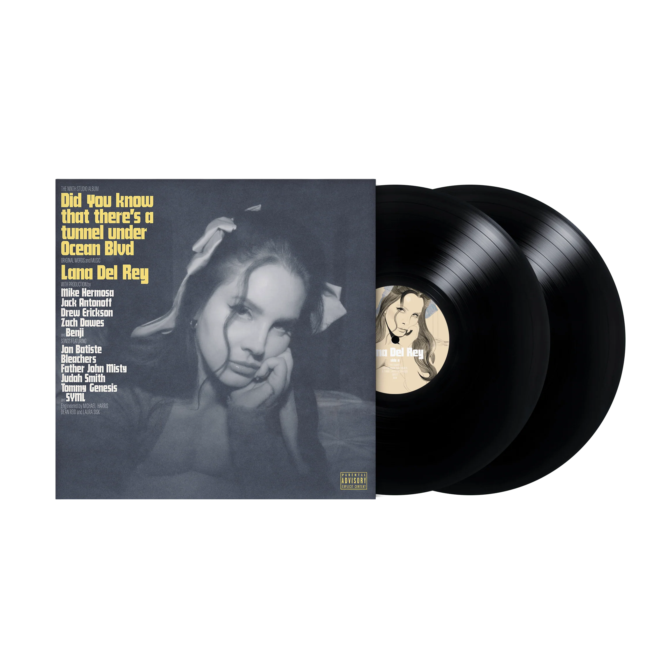 Did You Know That There's a Tunnel Under Ocean Blvd - Lana Del Rey [VINYL] - Image 2