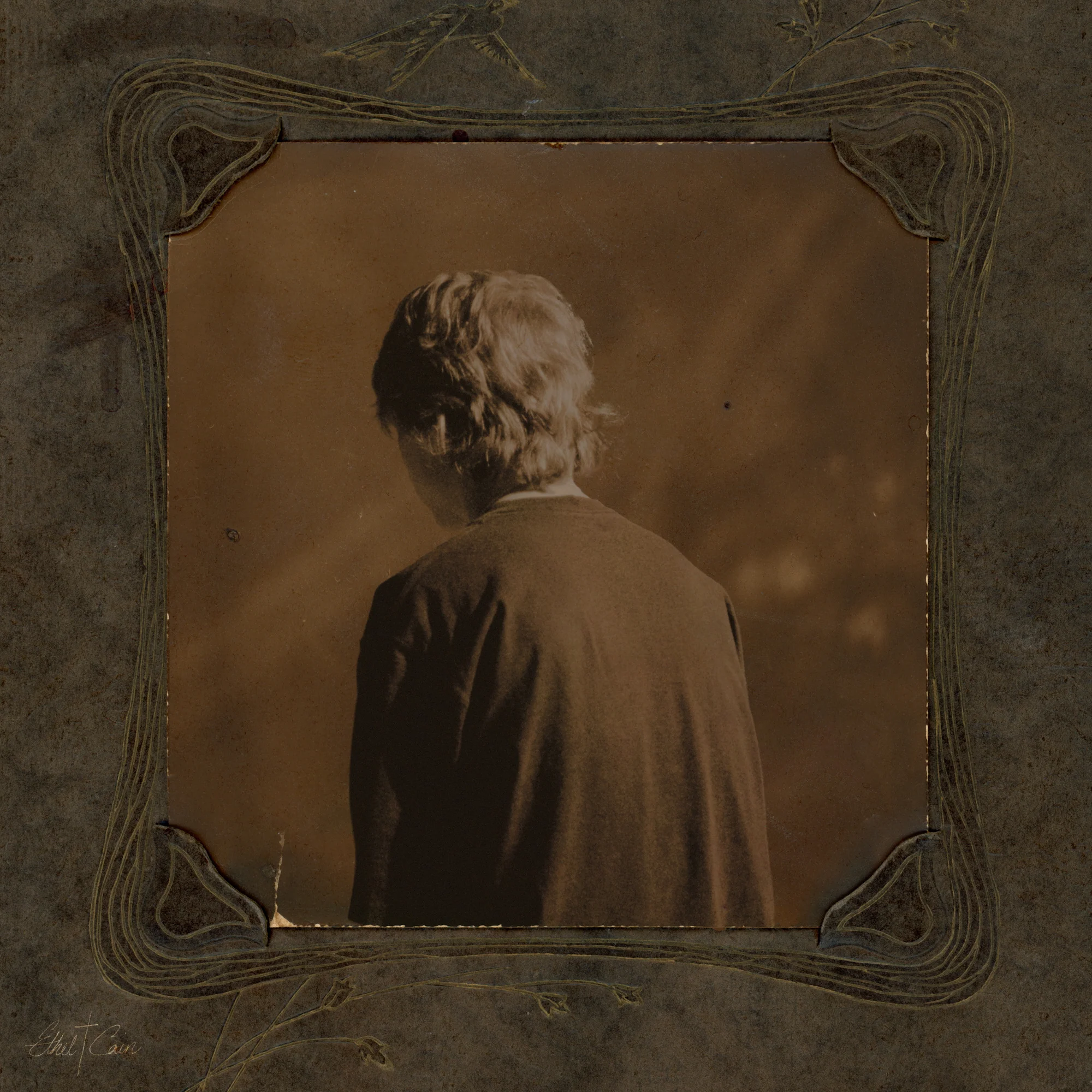 Willoughby Tucker, I’ll Always Love (Indies Black Edition w/ Limited Print) - Ethel Cain [VINYL] - Image 2