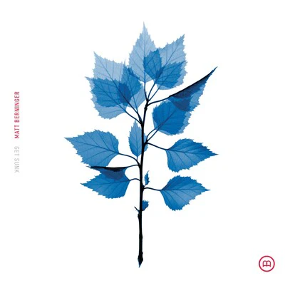 Get Sunk (Indies Translucent Cobalt Edition) - Matt Berninger [Colour Vinyl] - Image 2