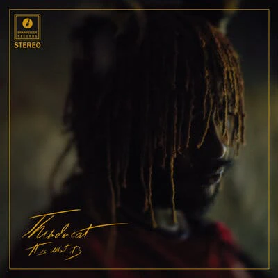 It Is What It Is:   - Thundercat [CD]