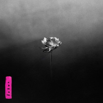 Lotus (Electric Pink Edition) - Little Simz [Colour Vinyl] - Image 2