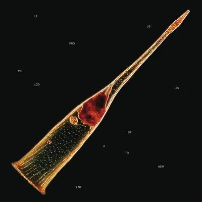 Melodies of Atonement - Leprous [CD Limited Edition]