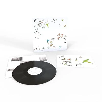 No Fixed Point in Space - Modern Nature [VINYL]
