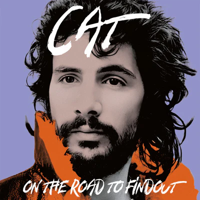 On the Road to Find Out: Greatest Hits - Yusuf / Cat Stevens [VINYL] - Image 2