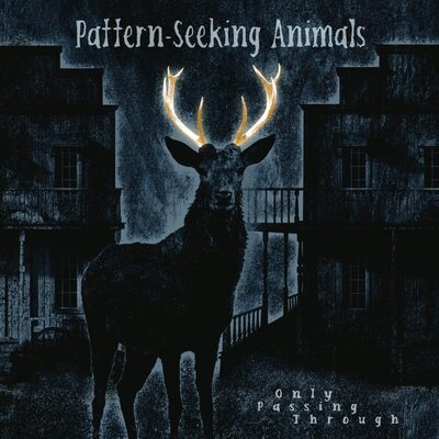 Only Passing Through:   - Pattern-Seeking Animals [CD Limited Edition]