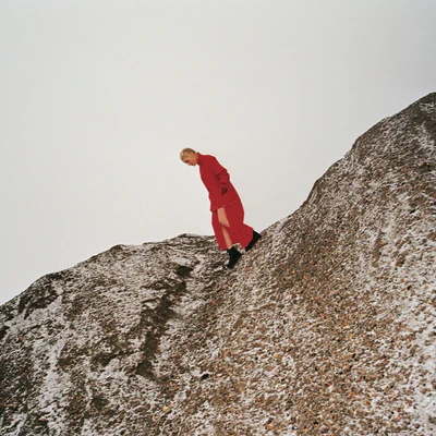 Reward:   - Cate Le Bon [VINYL]