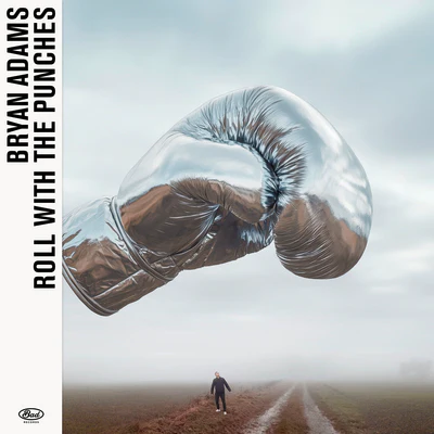 Roll With the Punches - Bryan Adams [CD]