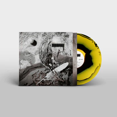 Secrets of the Beehive - David Sylvian [VINYL]