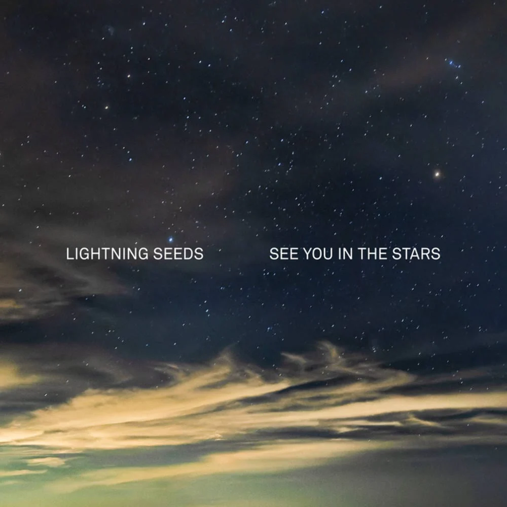 See You in the Stars:   - The Lightning Seeds [Colour Vinyl] - Image 2