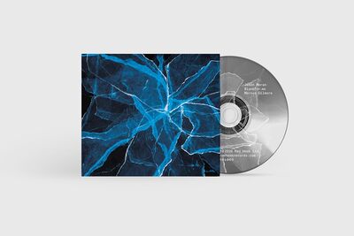 Shards - BlankFor.ms, Jason Moran, Marcus Gilmore [CD]