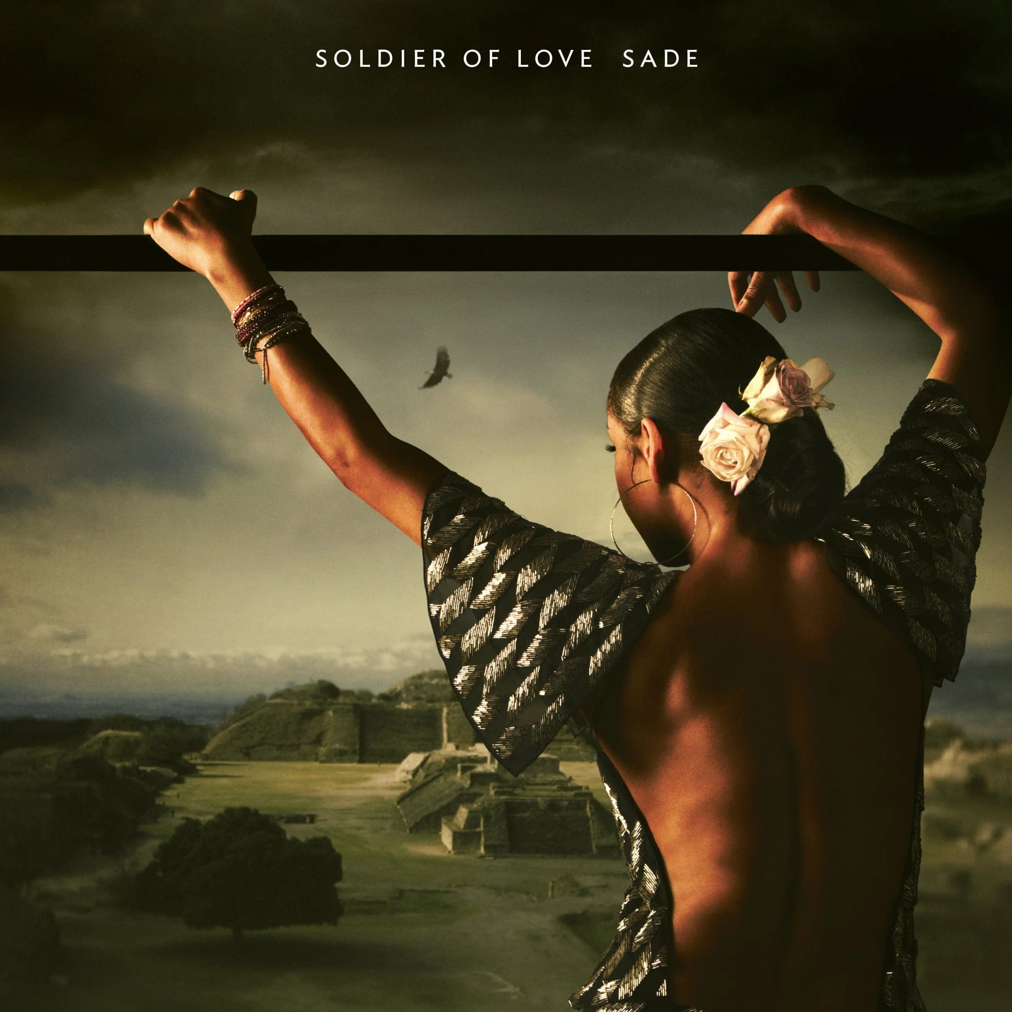 Soldier of Love - Sade [VINYL] - Image 2