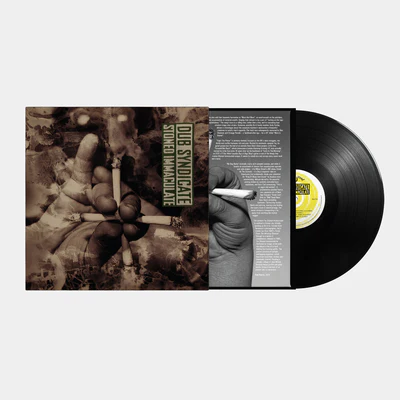 Stoned Immaculate - Dub Syndicate [VINYL]