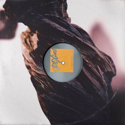 The Night the Zombies Came (Crystal Clear / Red Smoky Edition) - Pixies [Colour Vinyl] - Image 2