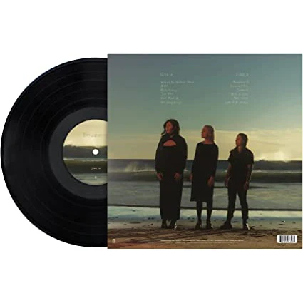 The Record - Boygenius [VINYL] - Image 4