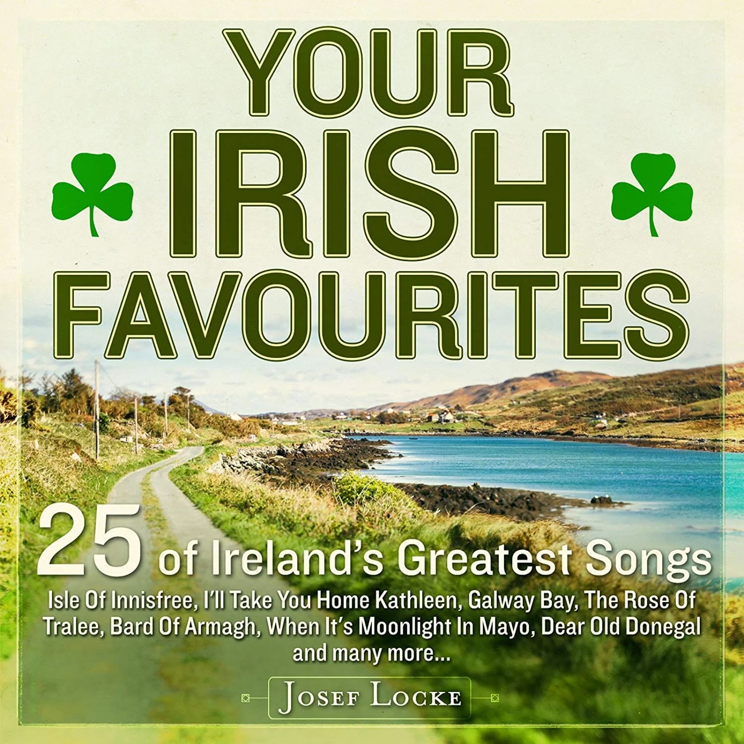 Your Irish Favourites [CD]